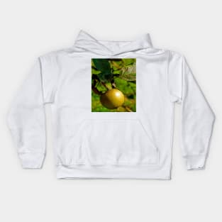 hanging apple Kids Hoodie